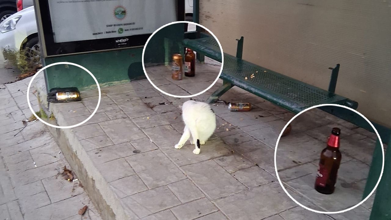 Sinop’ta dolmuş durağına bırakılan içki şişelerine tepki